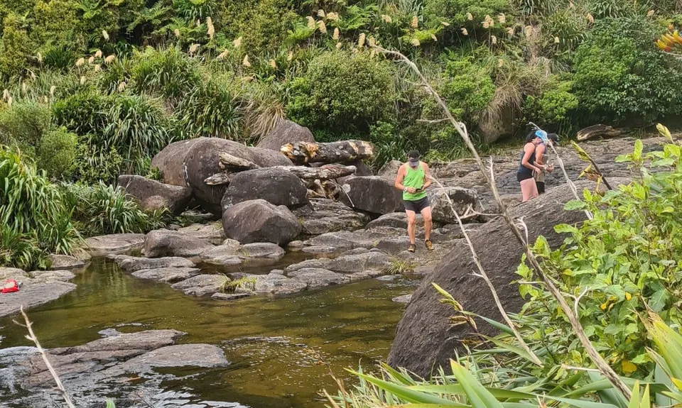 Kaimai Summit to Wairere Falls , Waikato