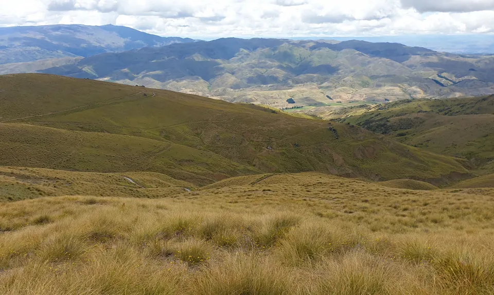 Potters Creek Loop, Otago