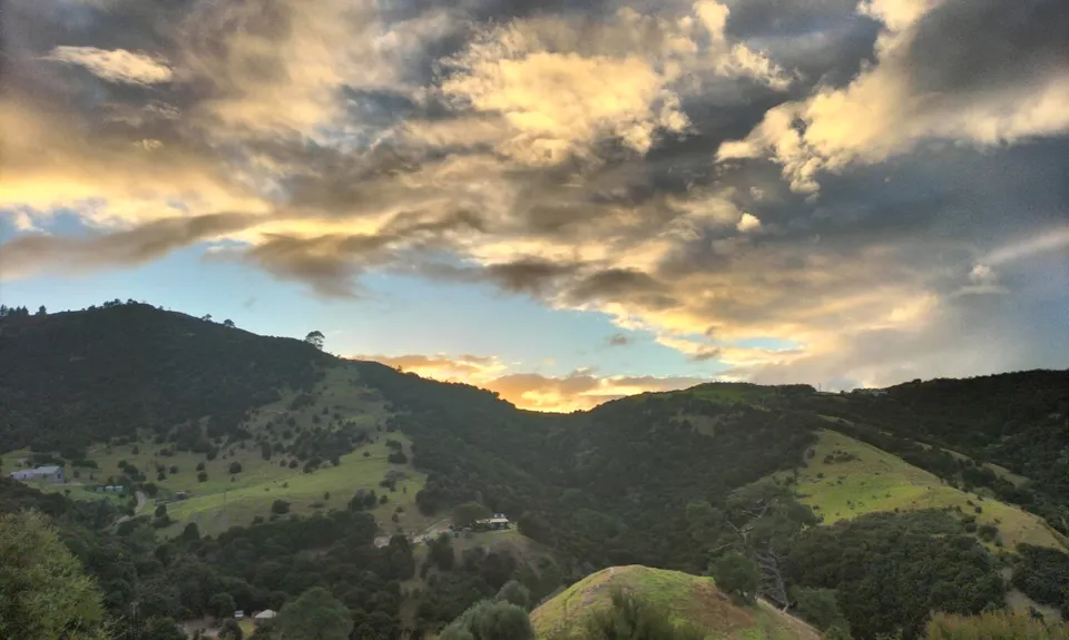 Onetangi/Trig Hill loop, Auckland