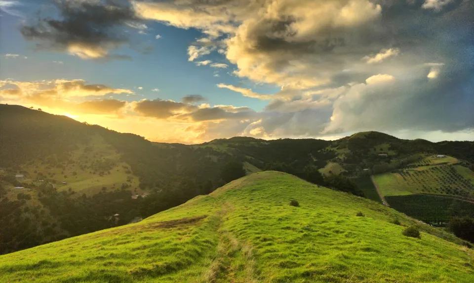 Onetangi/Trig Hill loop, Auckland