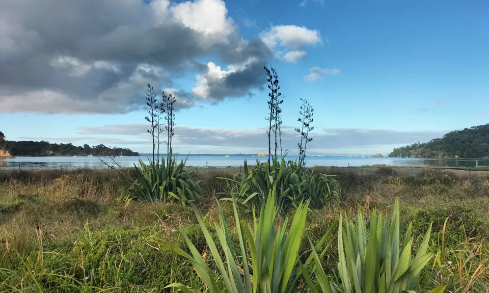 Onetangi/Trig Hill loop, Auckland