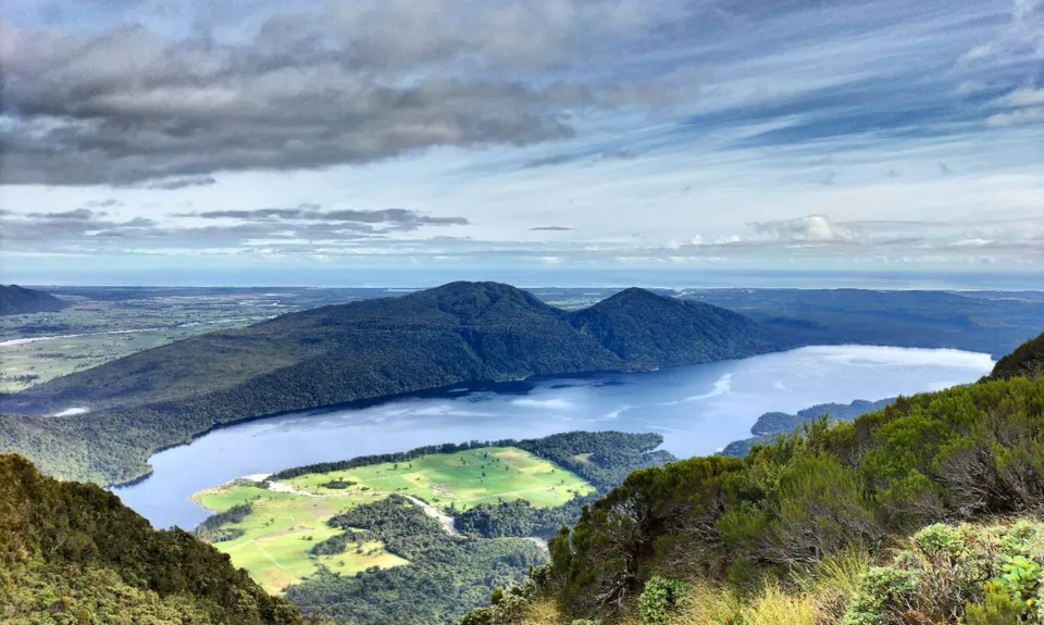Mt Brown Bonanza, West Coast