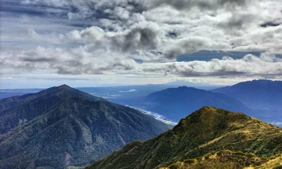 Mt Brown Bonanza, West Coast