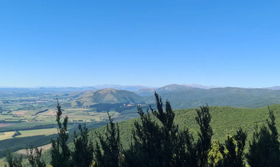 Mt Thomas Direct!, Canterbury