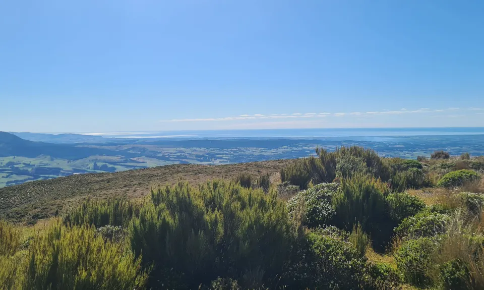 Mt Thomas Direct!, Canterbury