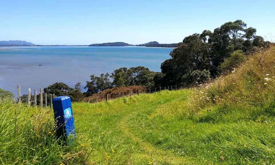 Kauri Point Kaper, Bay of Plenty