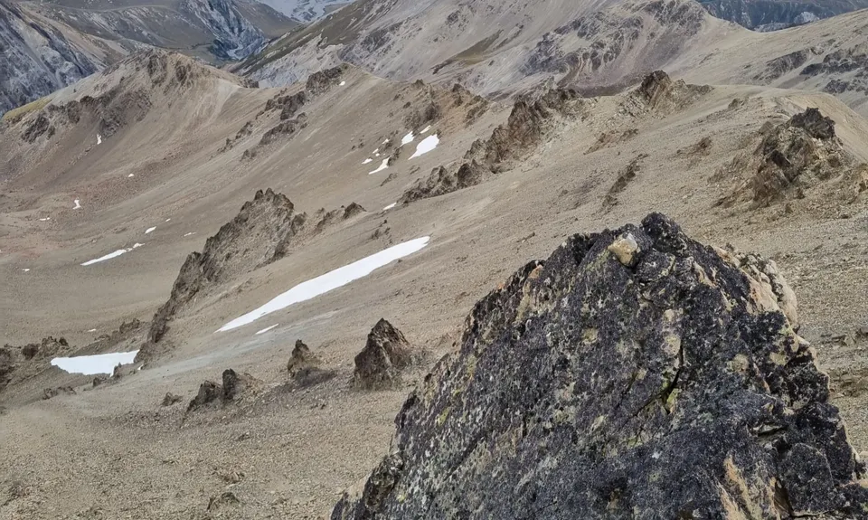 Mt. Taylor Dual, Canterbury