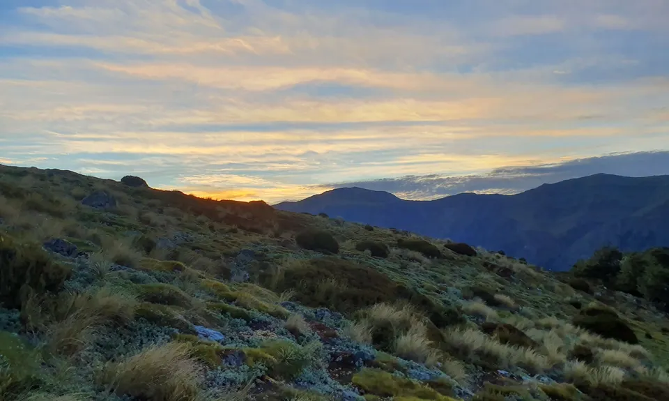 Libretto Traverse, Canterbury
