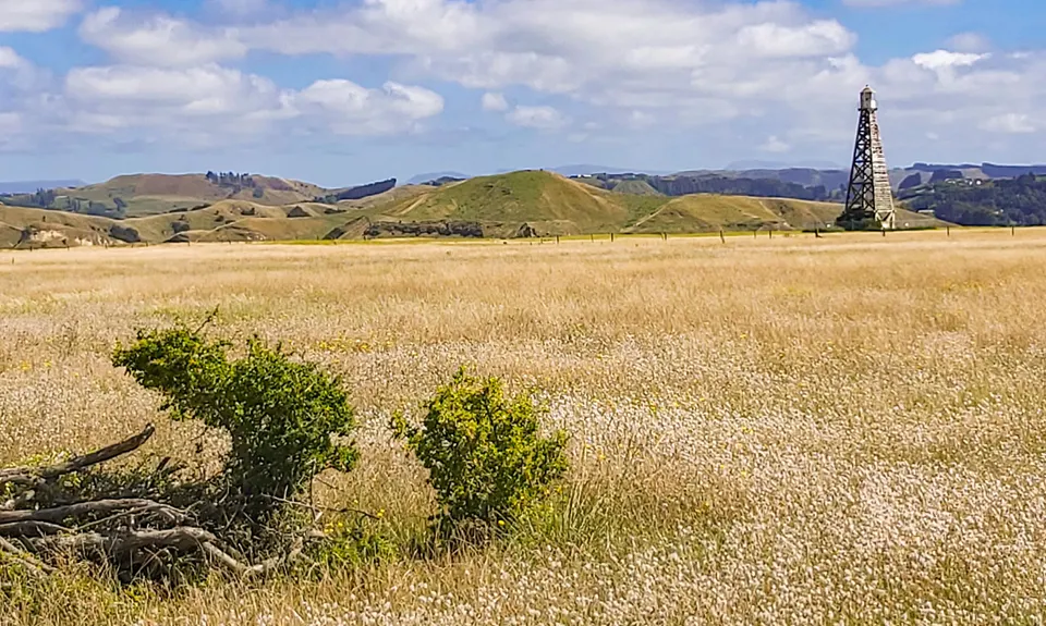 Westshore Flattie, Hawkes Bay