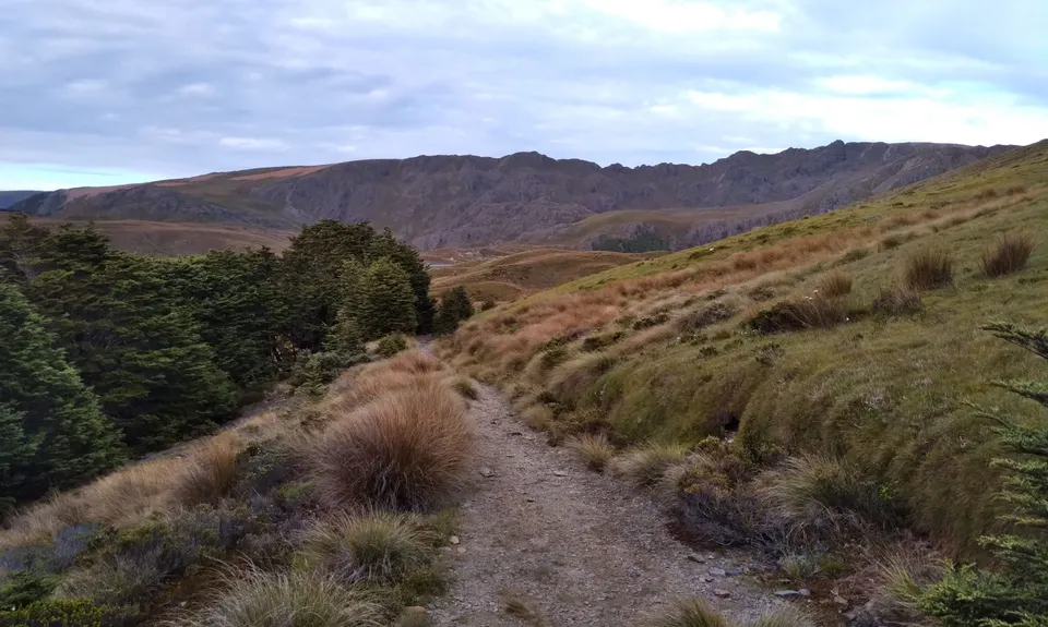 Diamond in the Rough, Tasman