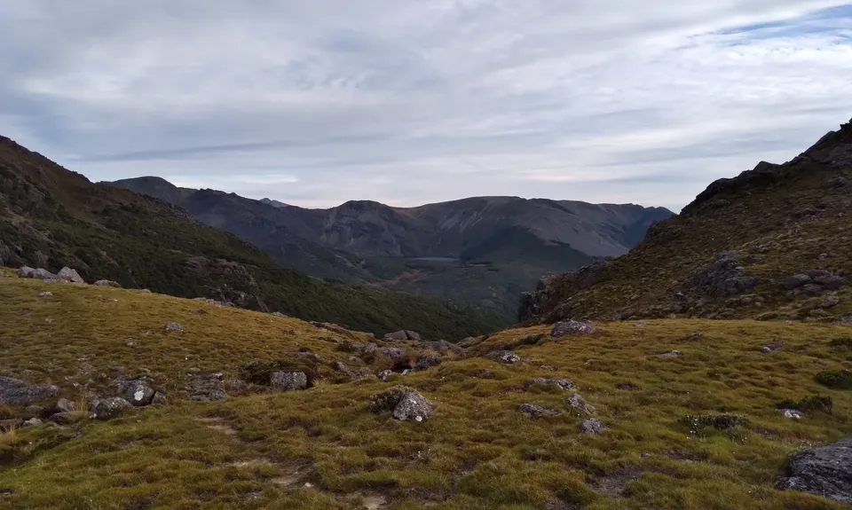 Diamond in the Rough, Tasman