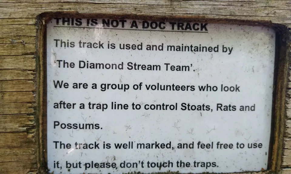 Diamond in the Rough, Tasman