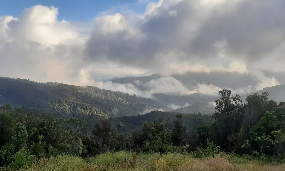 Crosbies Hut via Waiomu Track , Waikato