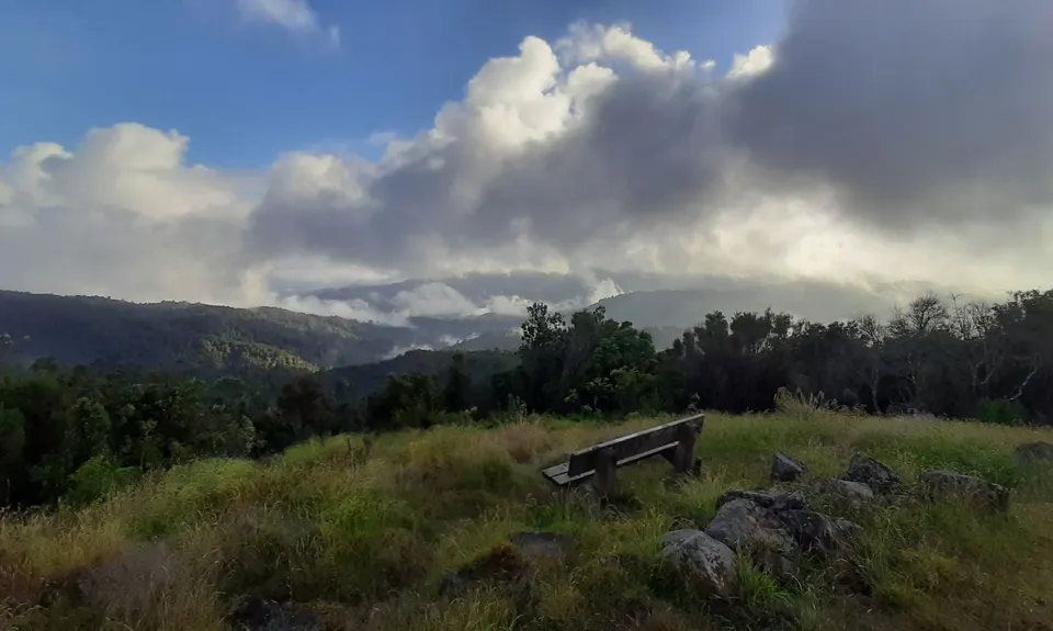 Crosbies Hut via Waiomu Track , Waikato