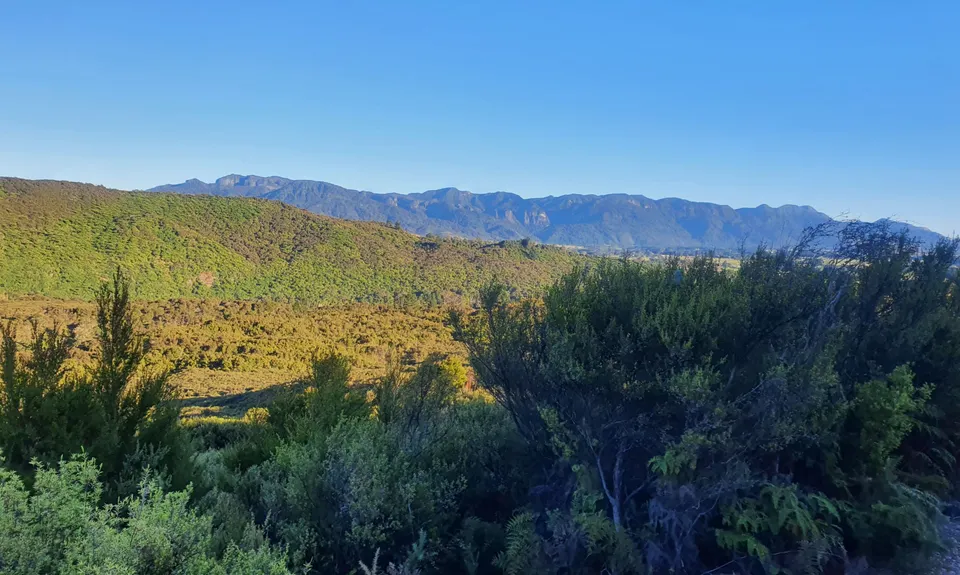 Aorere Goldfields, Tasman