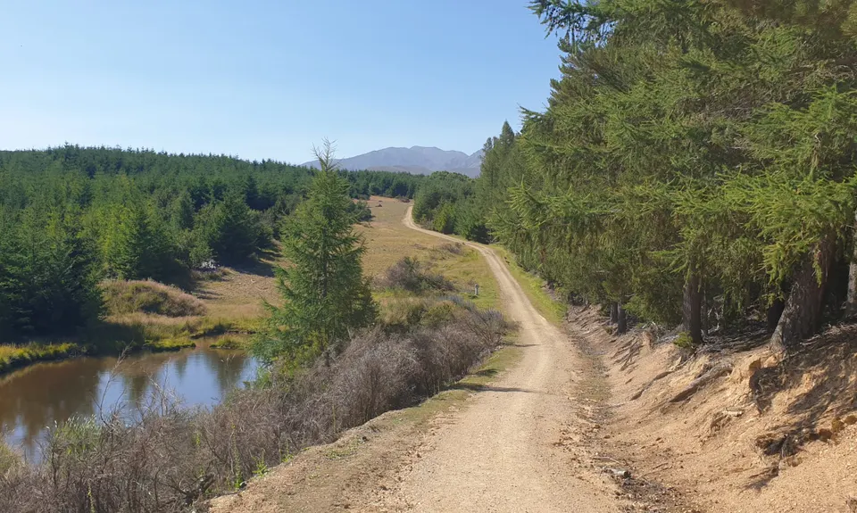 The Great Naseby Loop, Otago