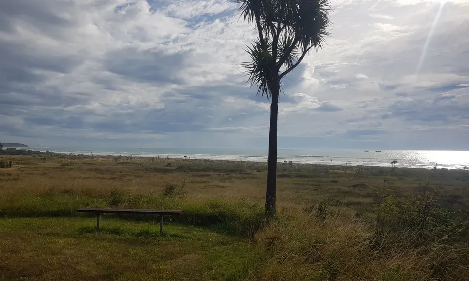 Riversdale Beach Southern Reserve , Wellington