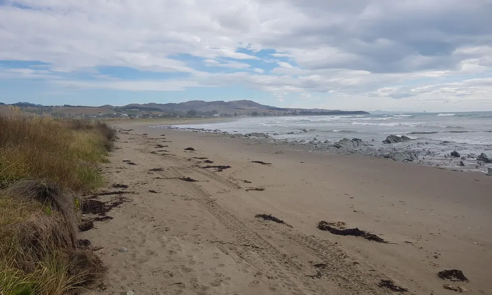Riversdale Beach Southern Reserve , Wellington