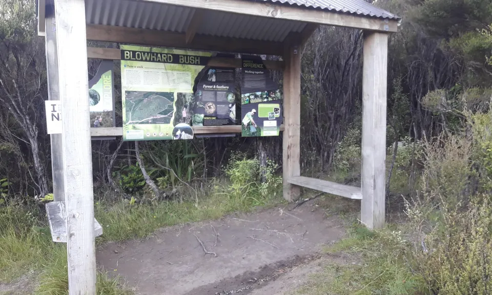 Blowhard Bush, Hawkes Bay