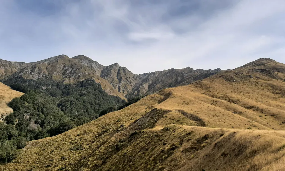 Arrowtown Gold, Otago