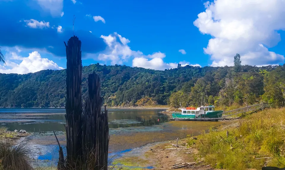 Waimangu , Bay of Plenty