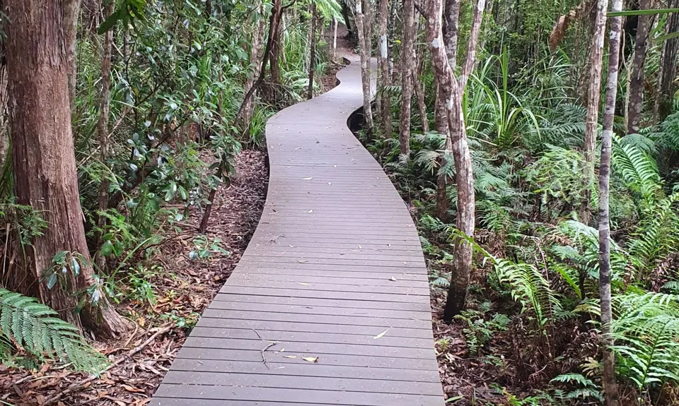 Te Rau-o-te-Huia Summit, Auckland