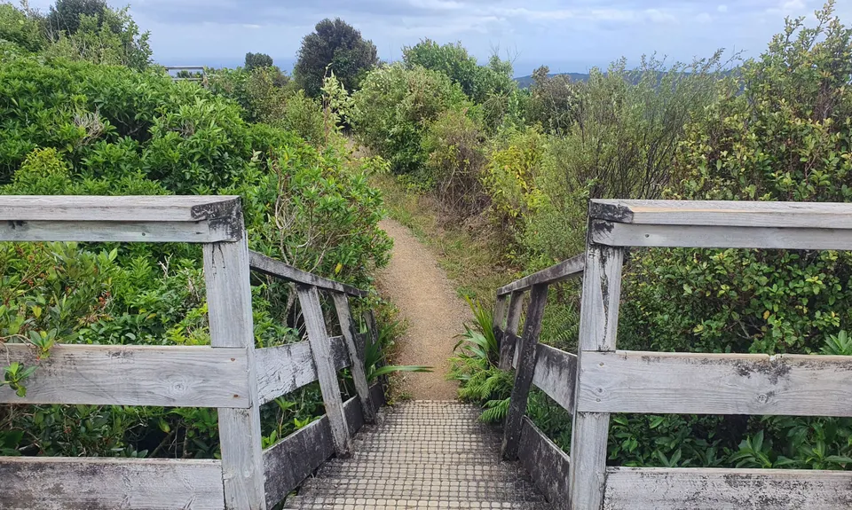 Te Rau-o-te-Huia Summit, Auckland
