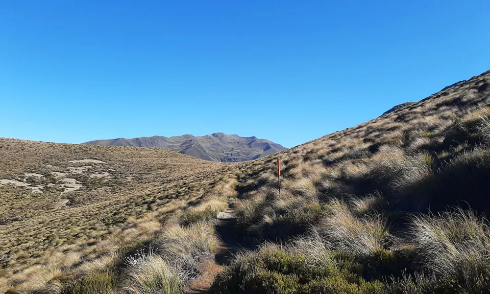 Maling Fowler Pass Loop, Canterbury