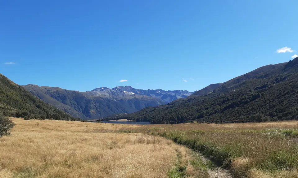 Maling Fowler Pass Loop, Canterbury