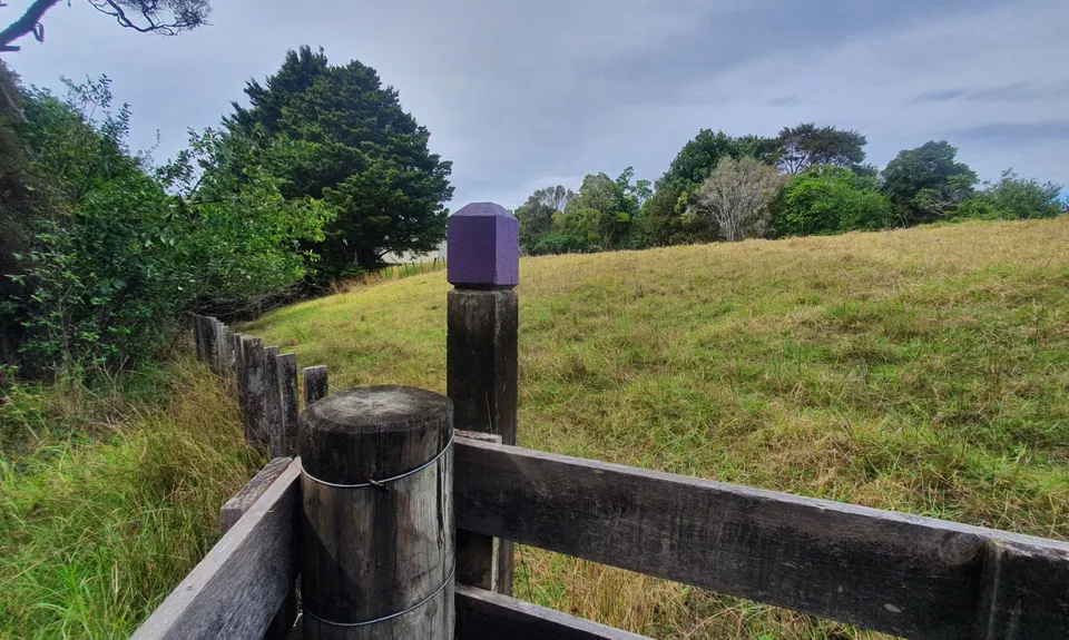 Waharau Ridge Gutbuster, Auckland
