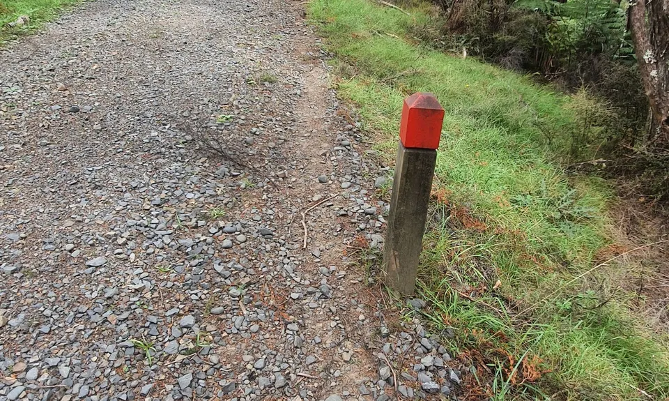 Waharau Ridge Gutbuster, Auckland
