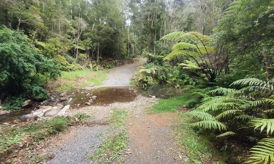 Waharau Ridge Gutbuster, Auckland
