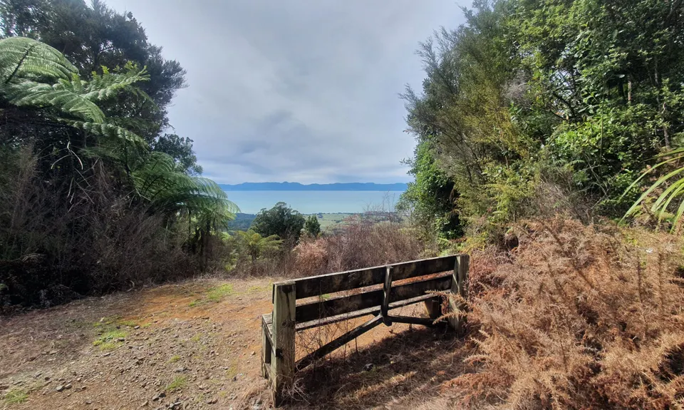 Waharau Ridge Gutbuster, Auckland