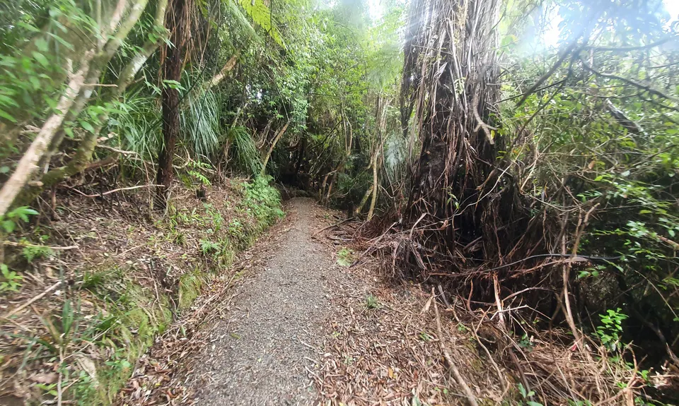 Waharau Ridge Gutbuster, Auckland