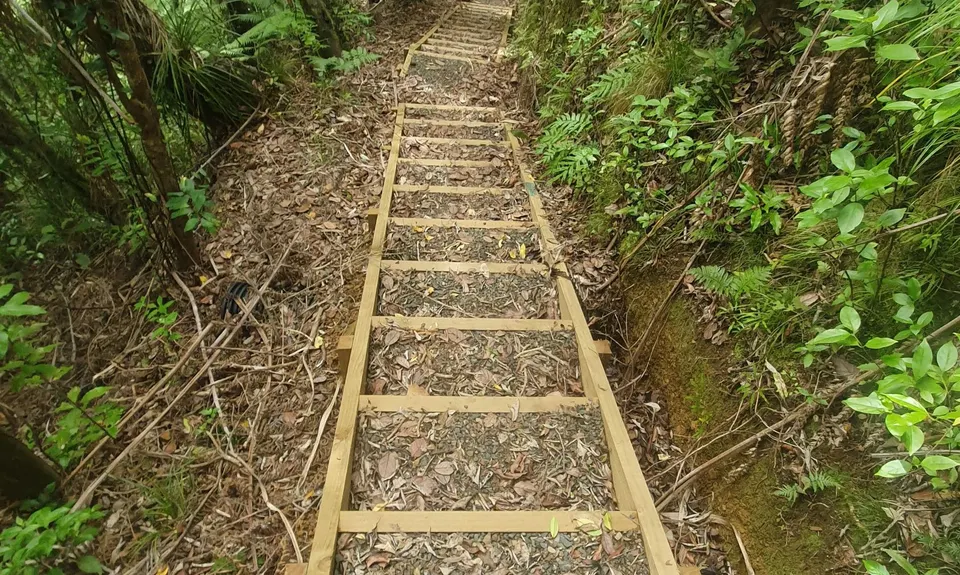 Waharau Ridge Gutbuster, Auckland