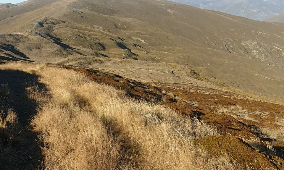 Cardrona to Arrowtown, Otago