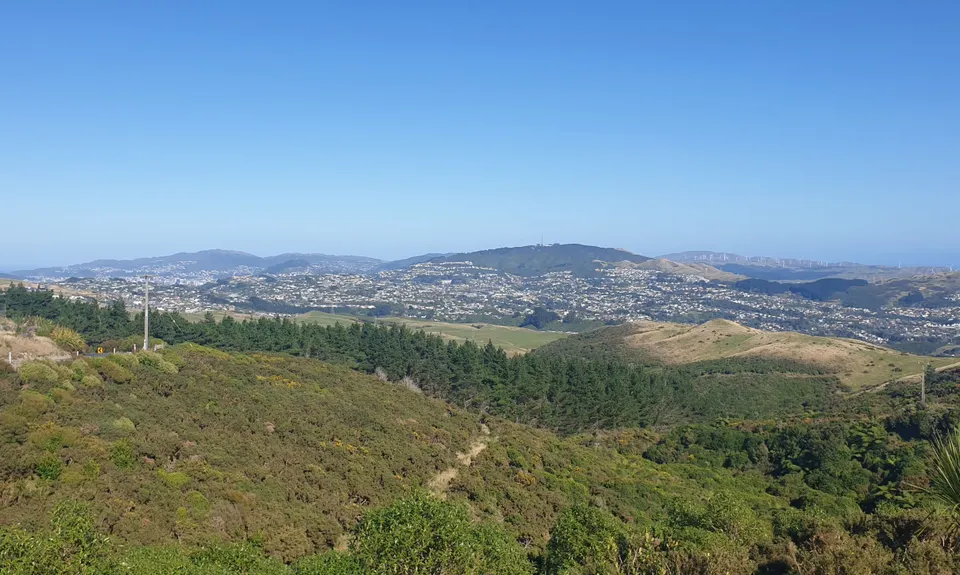 Grenada Grindertron, Wellington