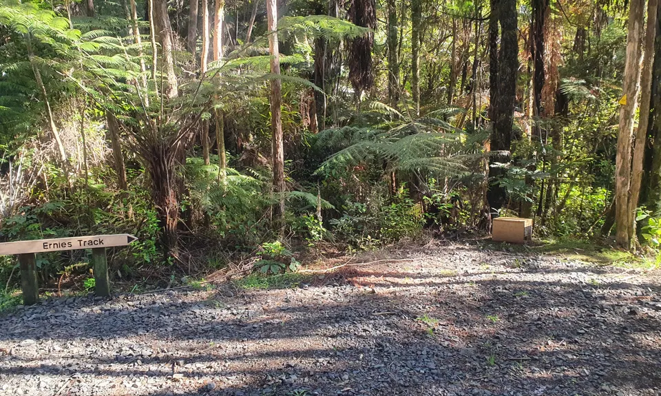 Ernie's Pukupuka Combined Loop, Auckland