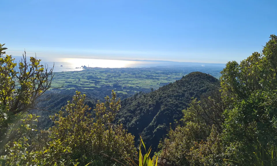 Davies Track, Taranaki