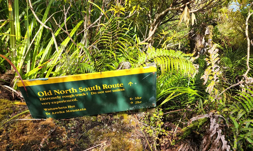 Pukekōhatu Pack Ponies, Waikato