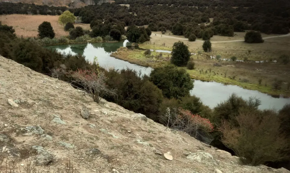 Butterfields Wetlands Loop, Otago