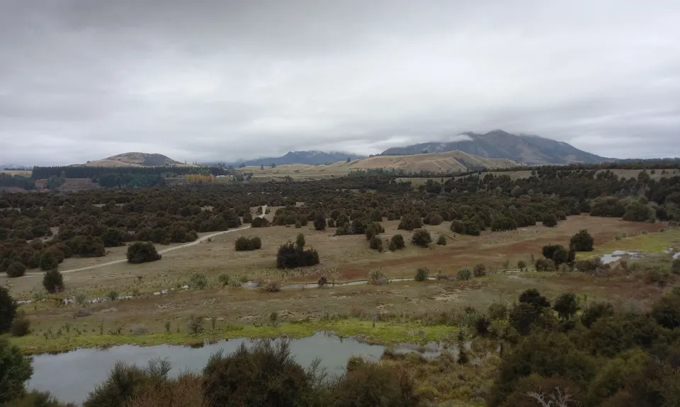 Butterfields Wetlands Loop, Otago
