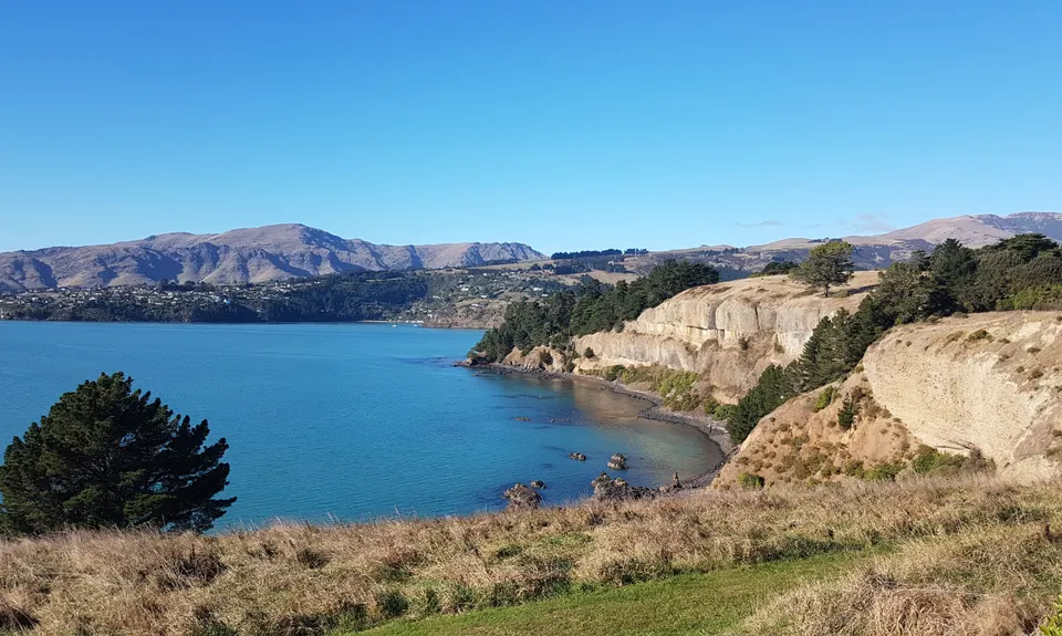 Quail Island Looping, Canterbury
