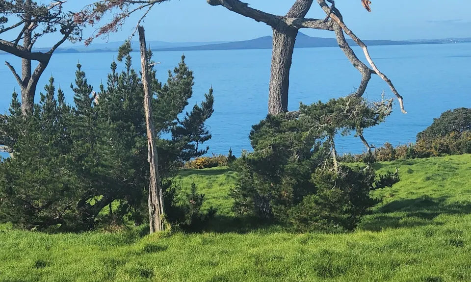 Long Bay Beach, Bush & Cliffs, Auckland