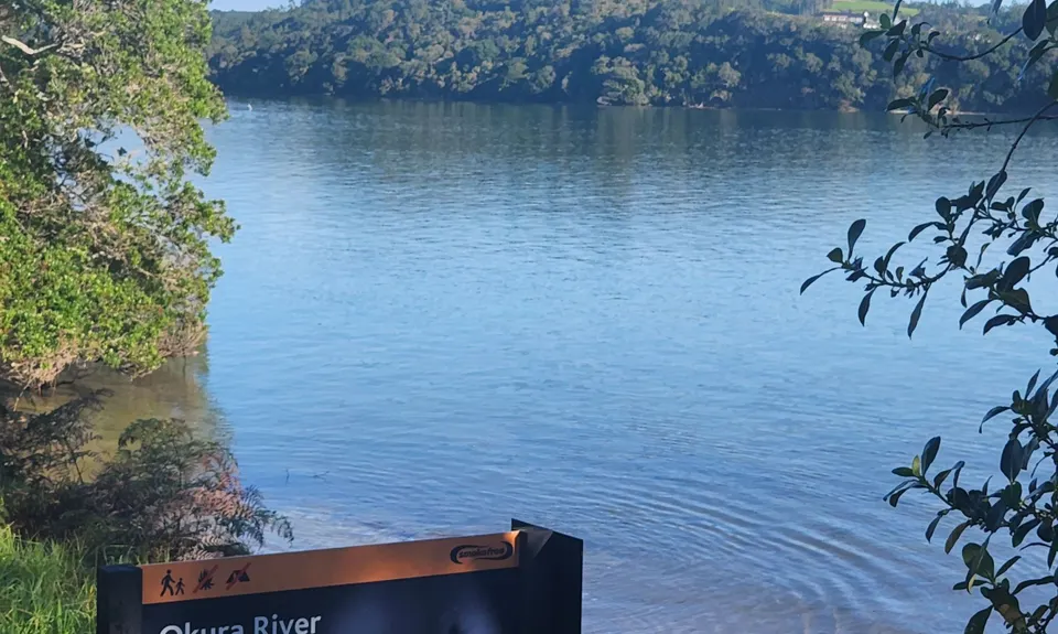 Long Bay Beach, Bush & Cliffs, Auckland