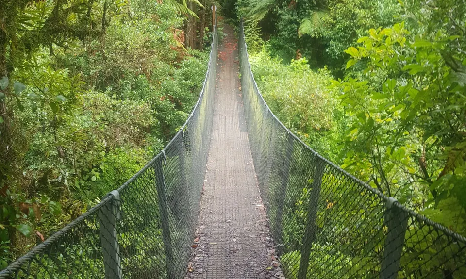 Sledge-Arapuke Swing Bridge Climb, Manawatu - Wanganui