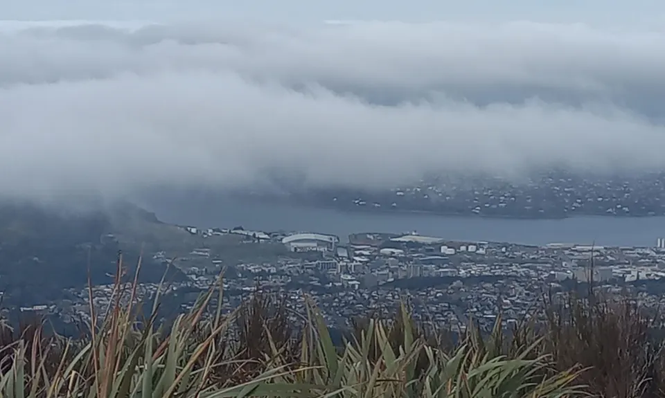 Pineapple and Flagstaff, Otago