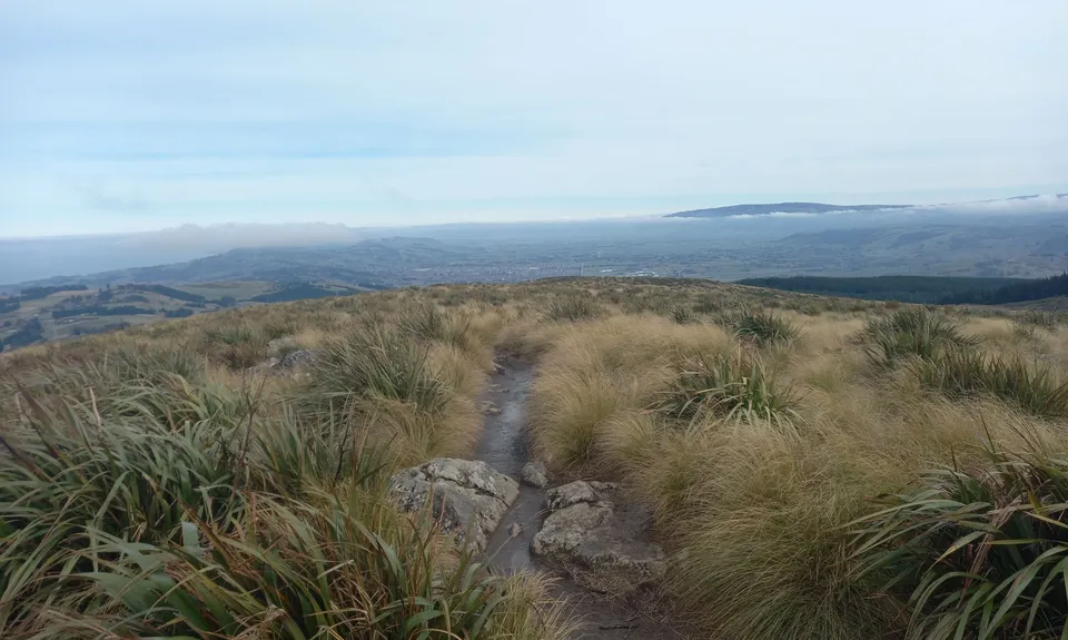 Pineapple and Flagstaff, Otago