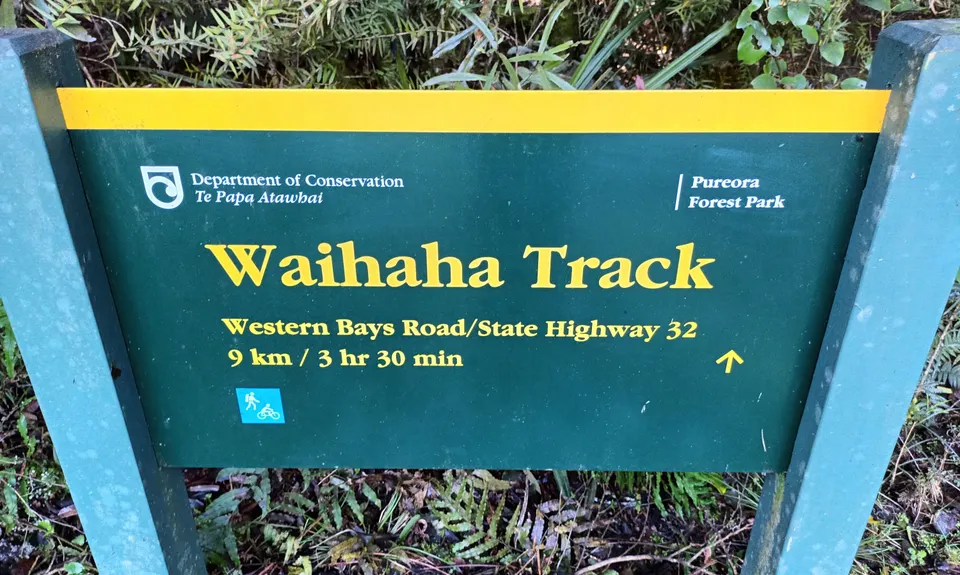 Waihāhā Hut Return, Waikato