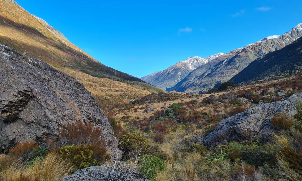 Arthur's Pass Taster, Canterbury